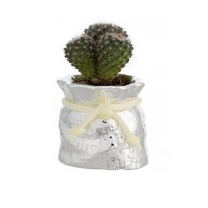 piantine grasse idee matrimonio