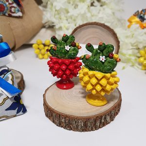 Sacchetto pigna magnete con cactus assortito in diversi decori