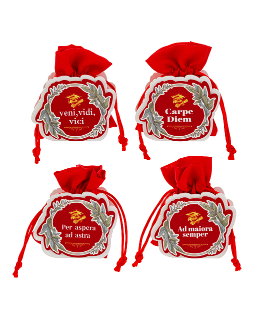 Portaconfetti Laurea assortiti in quattro modellini come da foto, realizzate da una struttura in legno con sacchettino color rosso.
